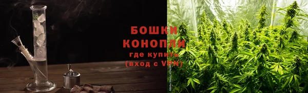 сатива Горно-Алтайск