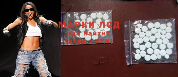 ГАЛЛЮЦИНОГЕННЫЕ ГРИБЫ Гусь-Хрустальный