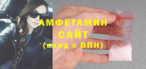 ГАЛЛЮЦИНОГЕННЫЕ ГРИБЫ Гусь-Хрустальный