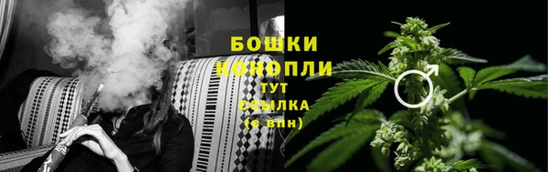 ГАЛЛЮЦИНОГЕННЫЕ ГРИБЫ Гусь-Хрустальный