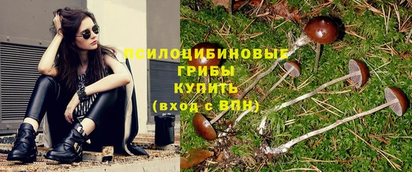сатива Горно-Алтайск