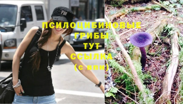 гашишное масло Гусиноозёрск
