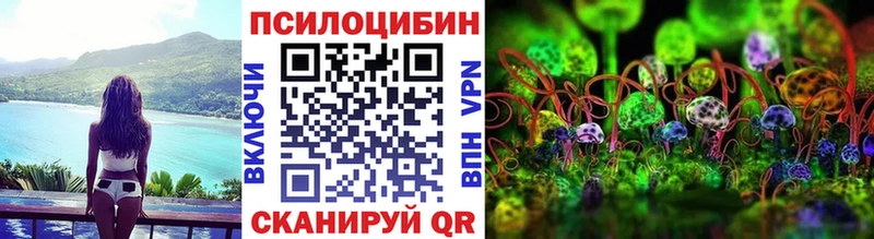 Купить закладки  Камбарка  Псилоцибиновые грибы MAGIC MUSHROOMS 